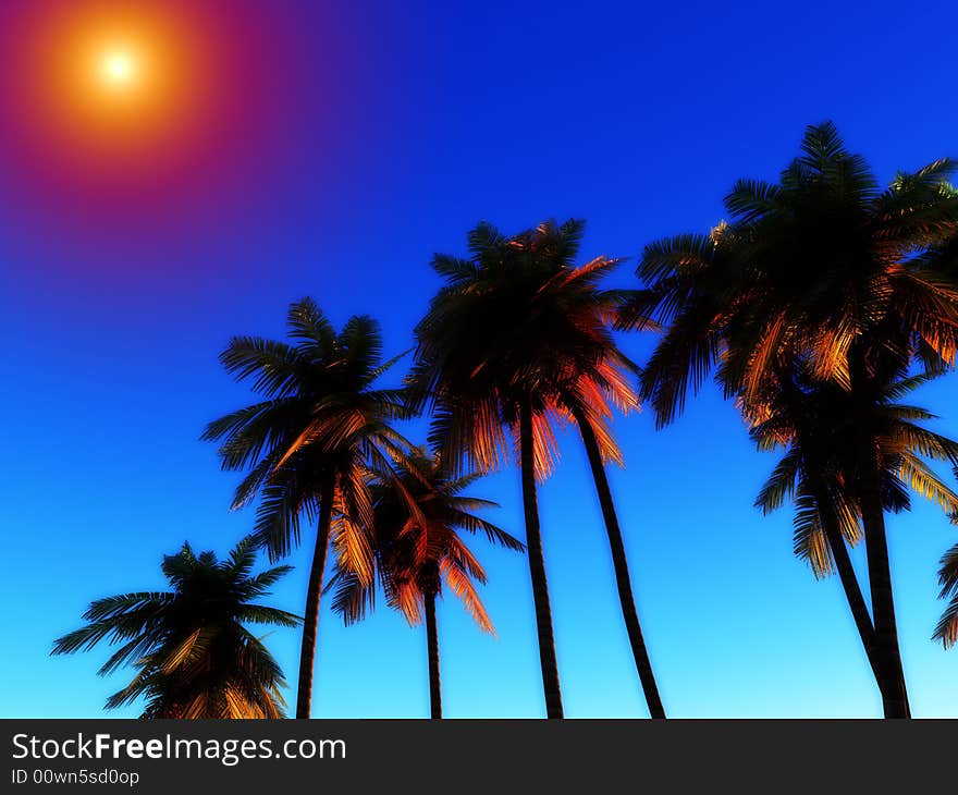 An image of some palm trees against a clear cloudless tropical daylight sky, it would be a good conceptual image representing going on a tropical holiday. An image of some palm trees against a clear cloudless tropical daylight sky, it would be a good conceptual image representing going on a tropical holiday.