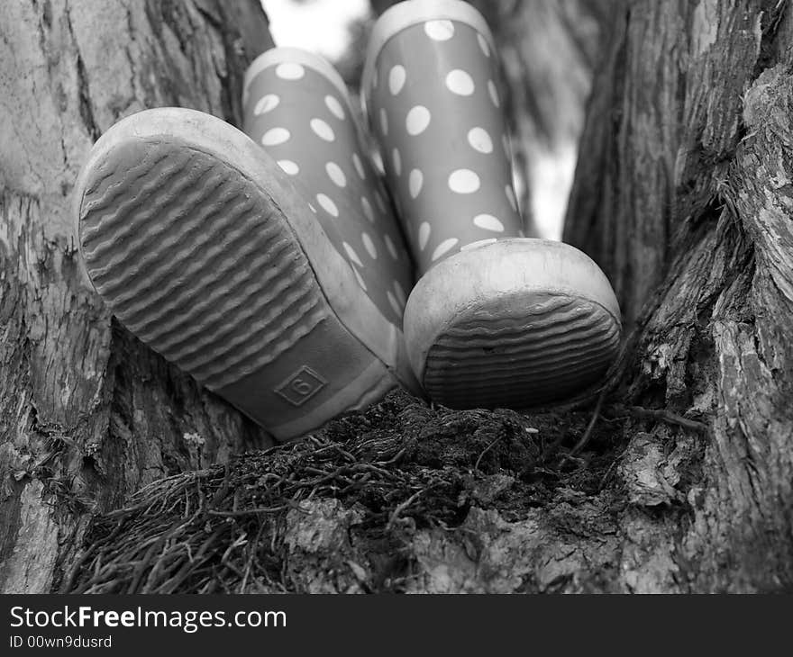 A child's welly's in a tree. A child's welly's in a tree