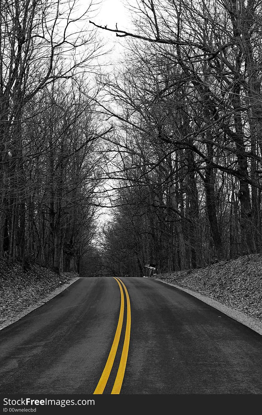 An empty road in the woods. The photo is in B&W, but the lines in the middle of the road are still yellow. An empty road in the woods. The photo is in B&W, but the lines in the middle of the road are still yellow.