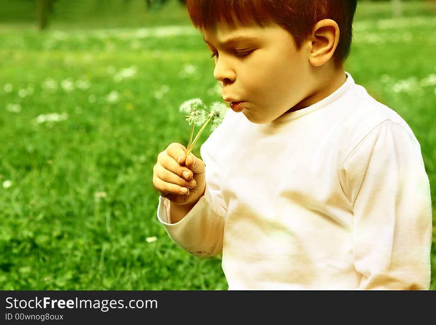 A child in a garden. A child in a garden