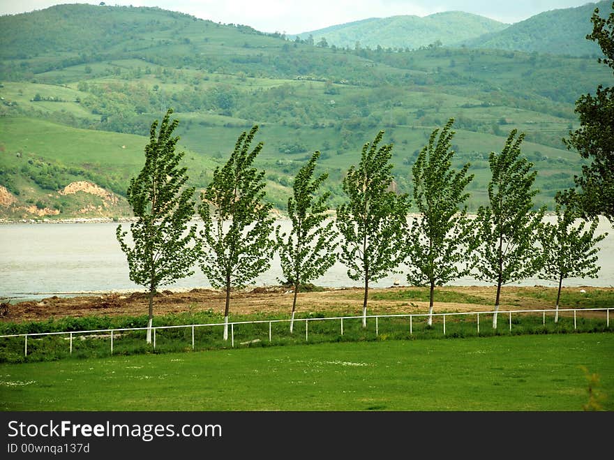 Tree Row By River By Stadium