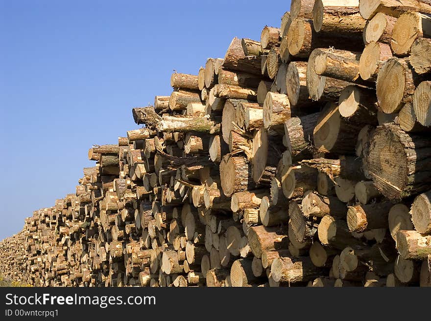 Freshly cut logs stacked against a deep blue sky. Freshly cut logs stacked against a deep blue sky.