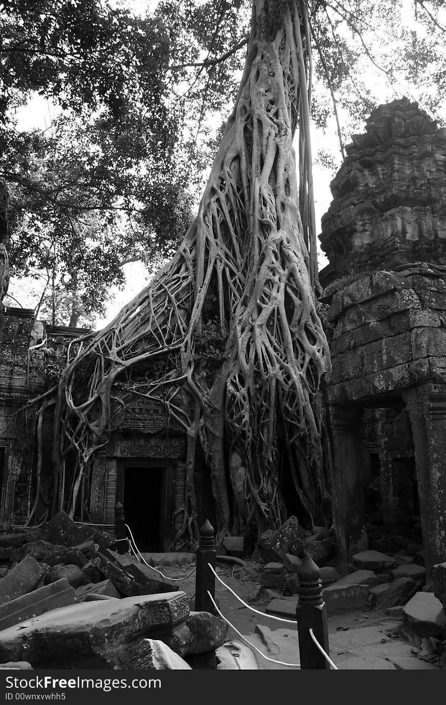 Angkor Wat