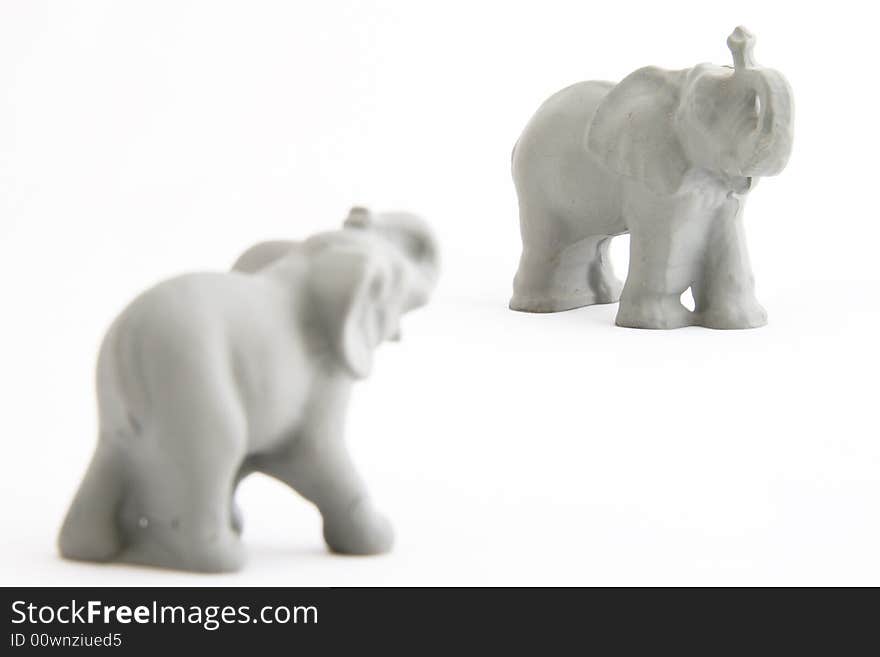 Two grey powerful elephants on a white background