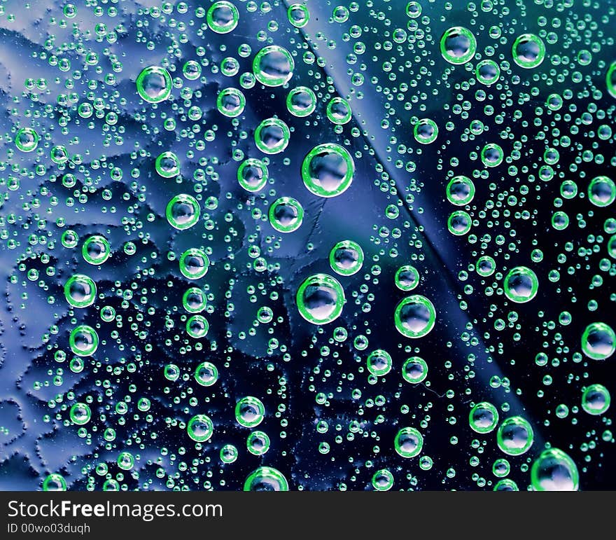 Bubbles in a plastic bottle