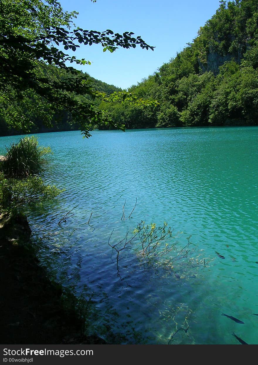 A view of a lake