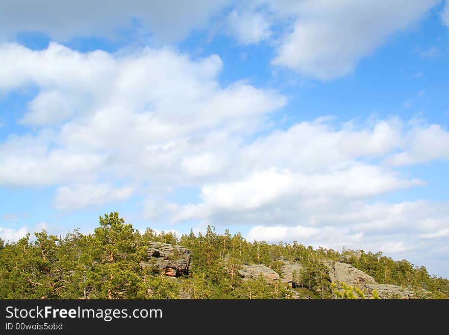 Landscape of green forest with bright blue sky