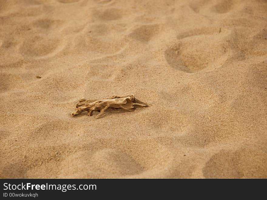 Snag On The Sand