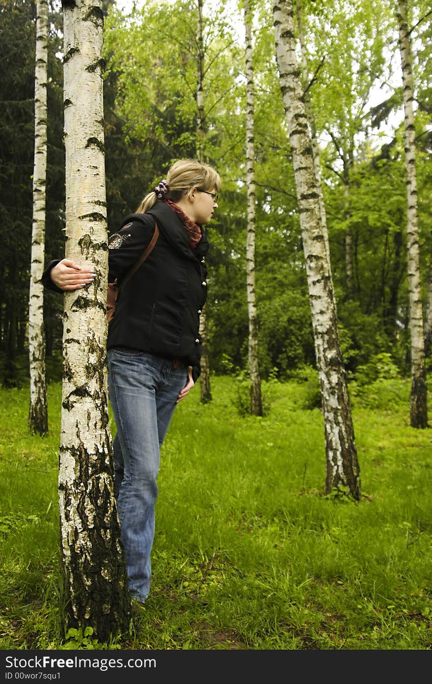 The beautiful girl relaxs in a birchwood. The beautiful girl relaxs in a birchwood.