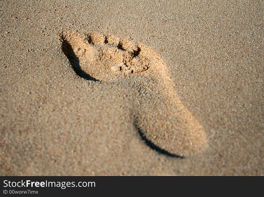 Footprint in the Sand