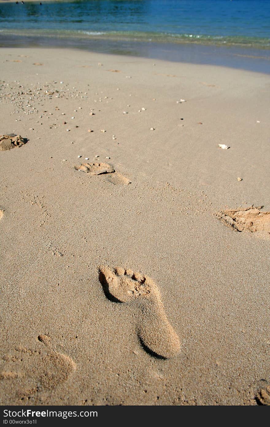 Some footprints show that a person walked along the beach. Some footprints show that a person walked along the beach.