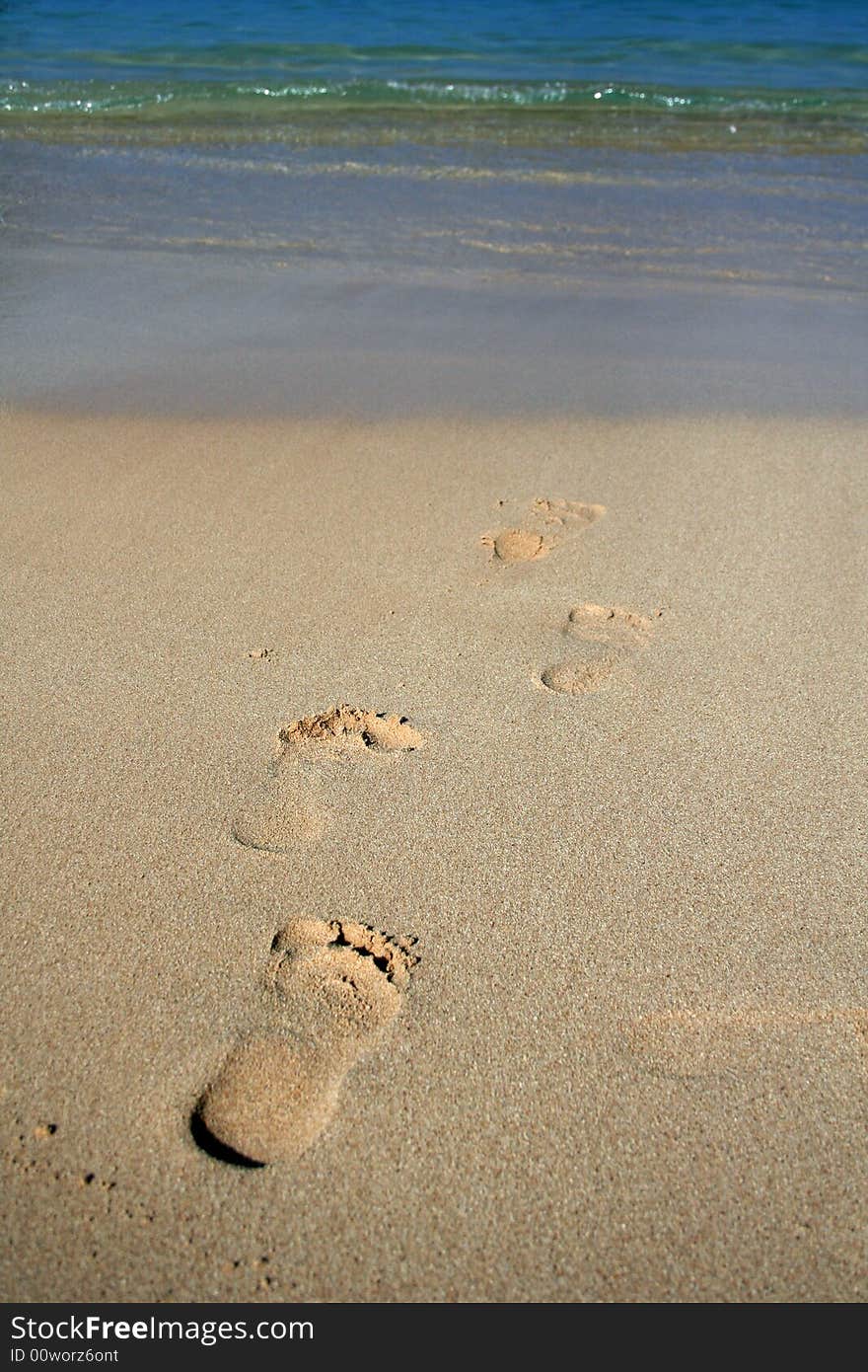 Some footprints in the sand show that a person walked into the water.