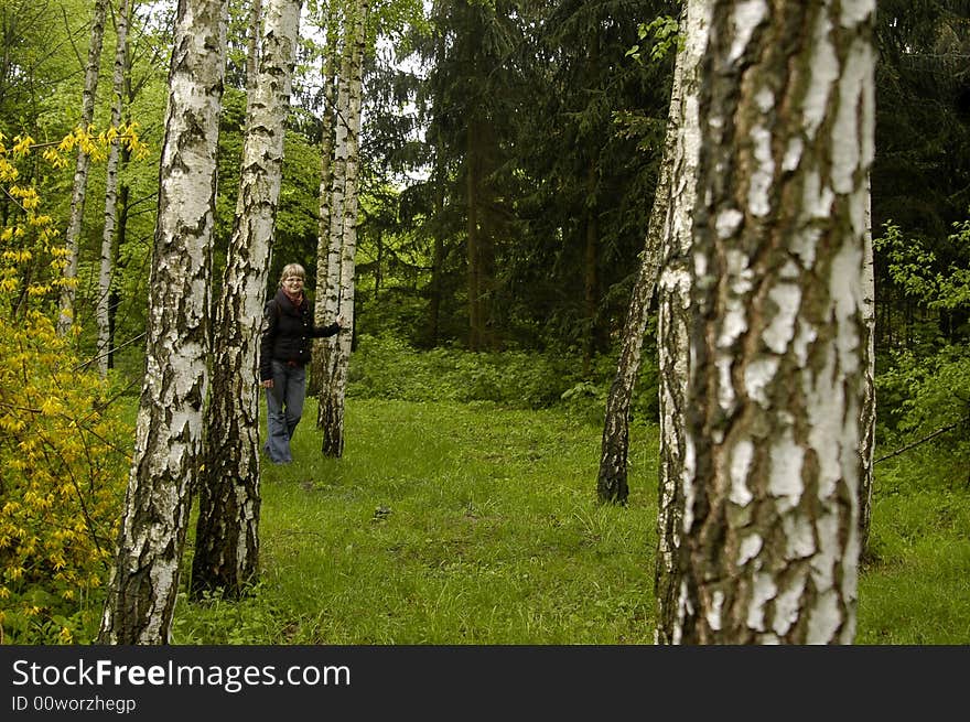 Girl In The Birch Grove