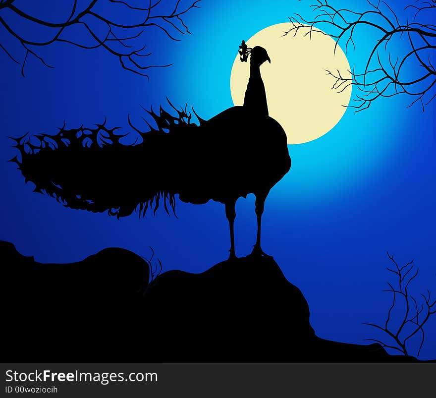 An art illustration about the beauty of peacock on a full moon night. An art illustration about the beauty of peacock on a full moon night