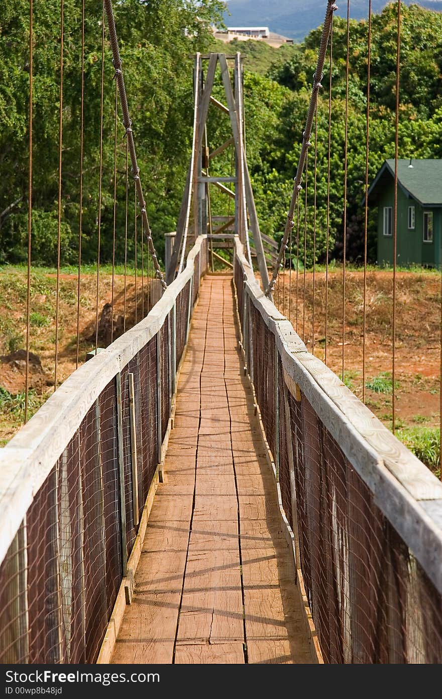A walking bridge in Hawaii on the island of Kauai. The path is centered in the composition to create an even and balanced image. A walking bridge in Hawaii on the island of Kauai. The path is centered in the composition to create an even and balanced image.