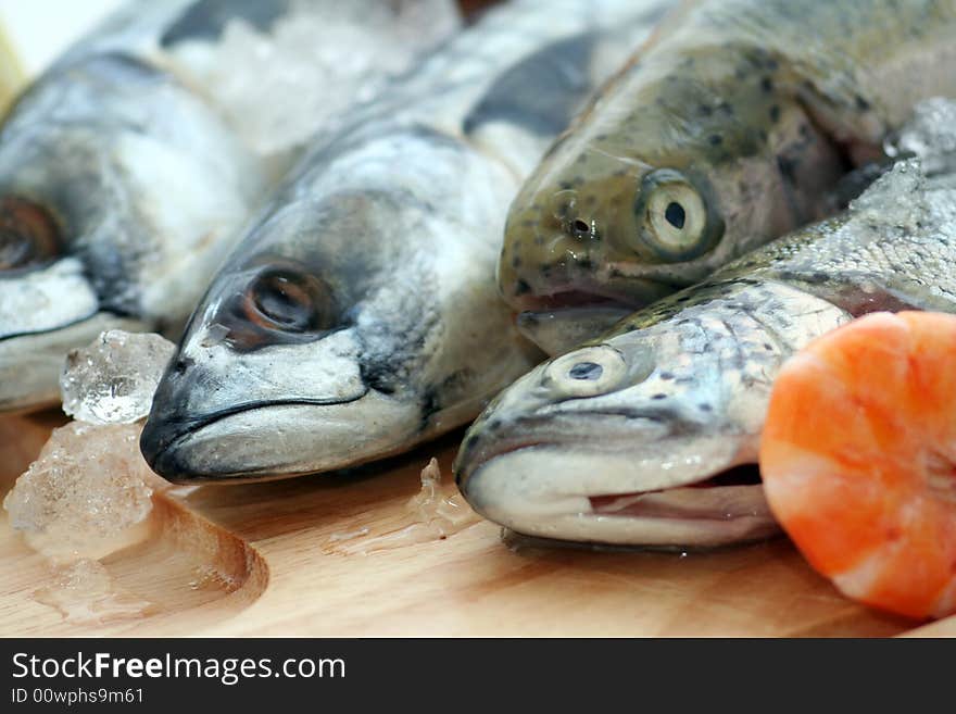 Fresh fish