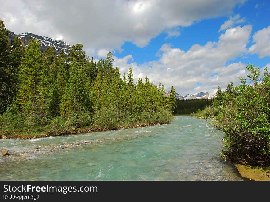 Mosquito Creek in Banff National Park Alberta Canada