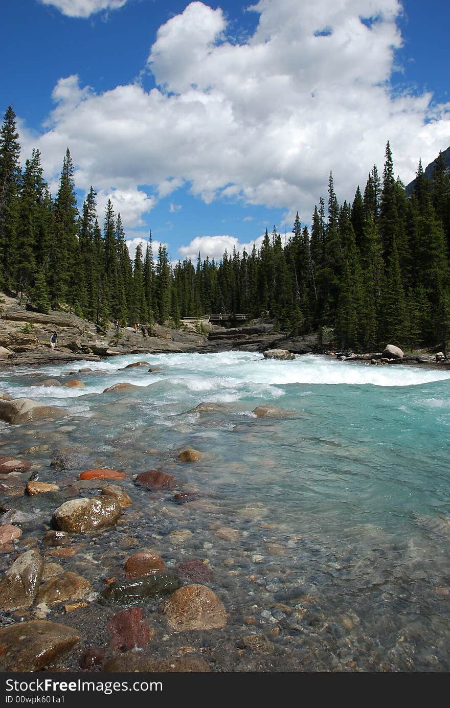 Mosquito Creek in Banff National Park Alberta Canada