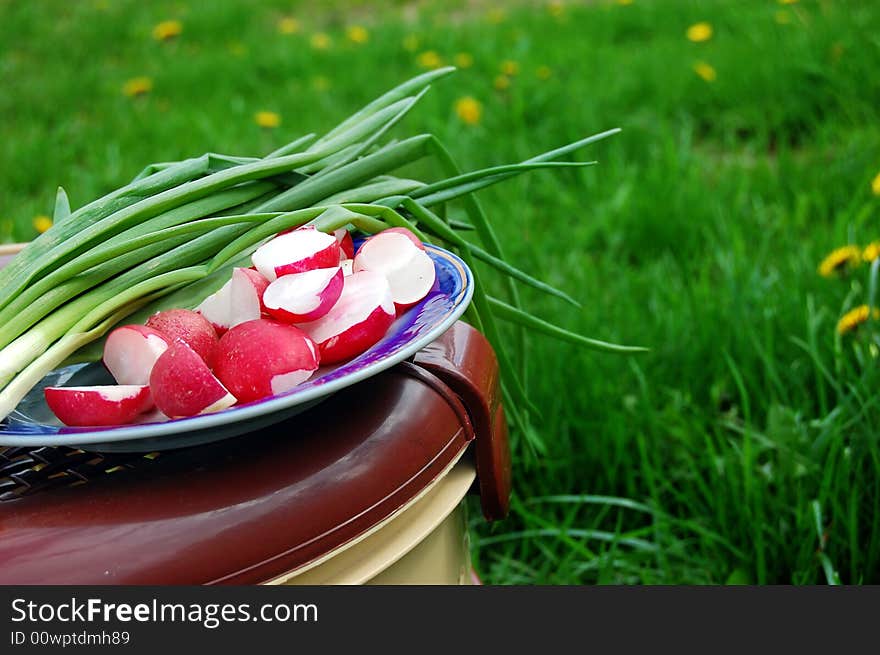 Reddish and green onion, food basket on nature background. Reddish and green onion, food basket on nature background