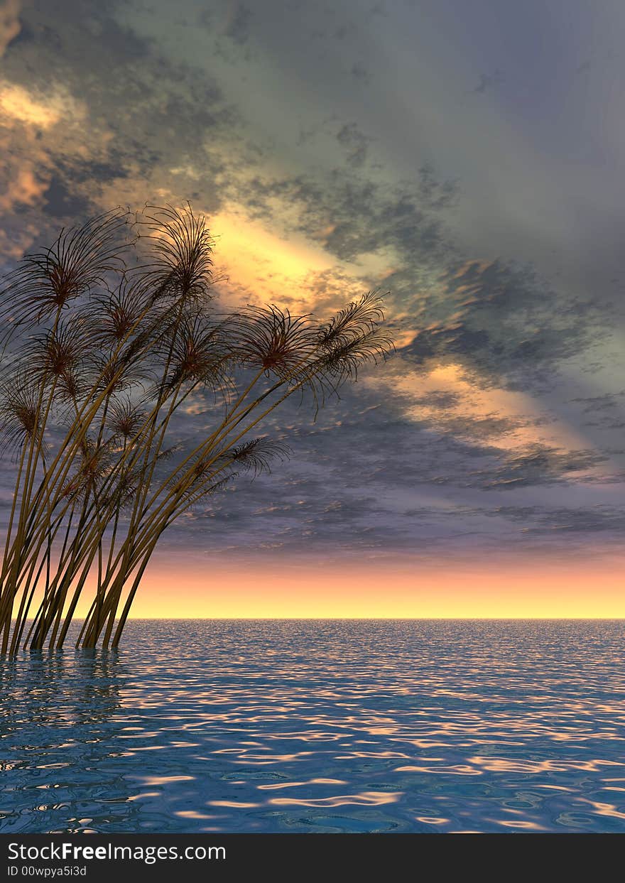 Water plants on a sea sunset  background  -  3D scene. Water plants on a sea sunset  background  -  3D scene.