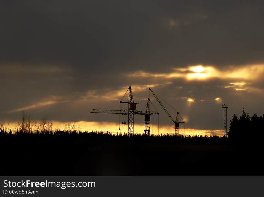 Cranes On The Dawn