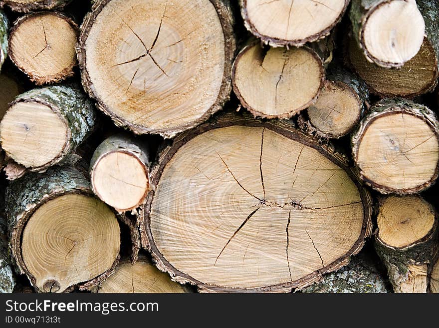 Wood Pile Logs