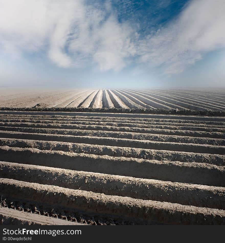 Crop farming on the background of clouds. Crop farming on the background of clouds