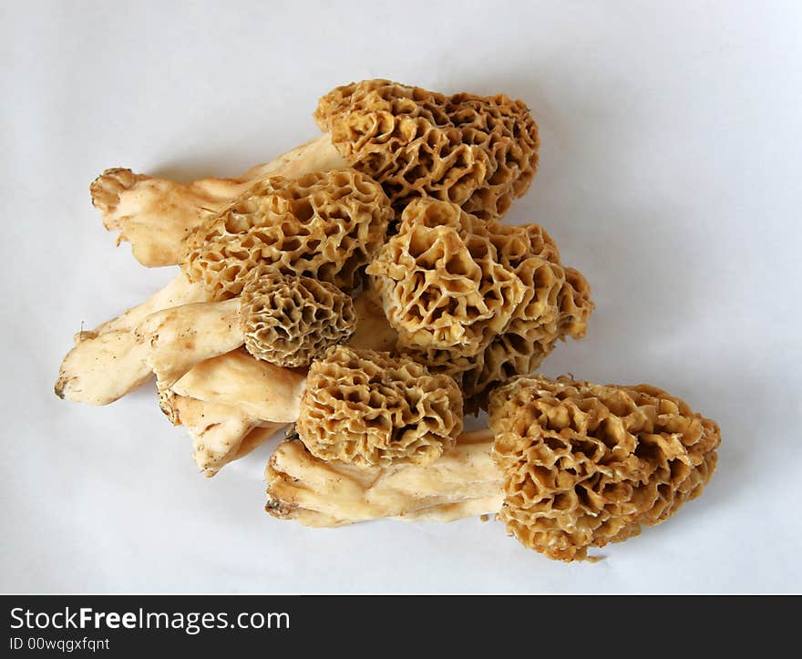 A pile of the valuable morel mushrooms. A pile of the valuable morel mushrooms