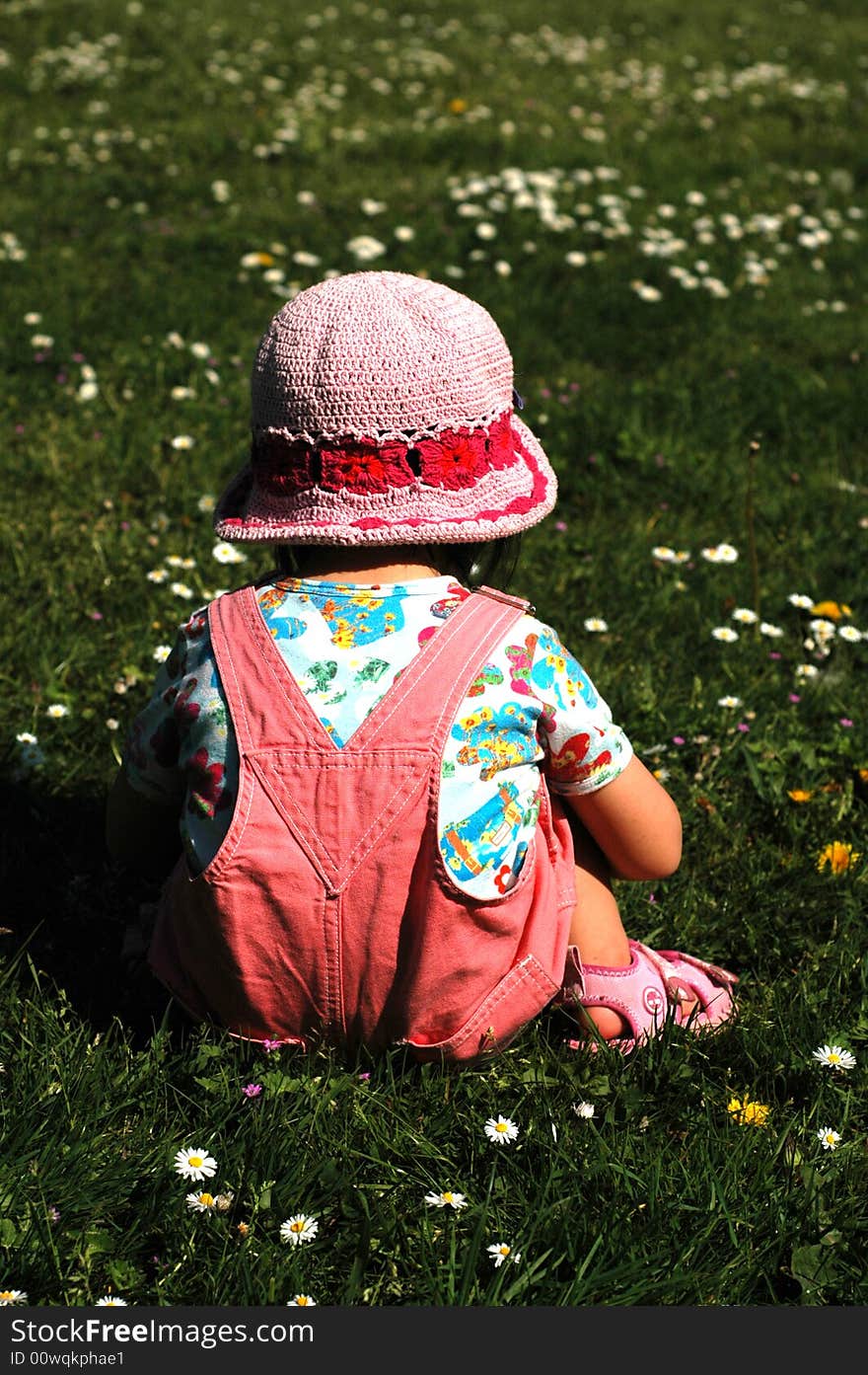 Little girl playing with flowers sitting on the grass. Little girl playing with flowers sitting on the grass