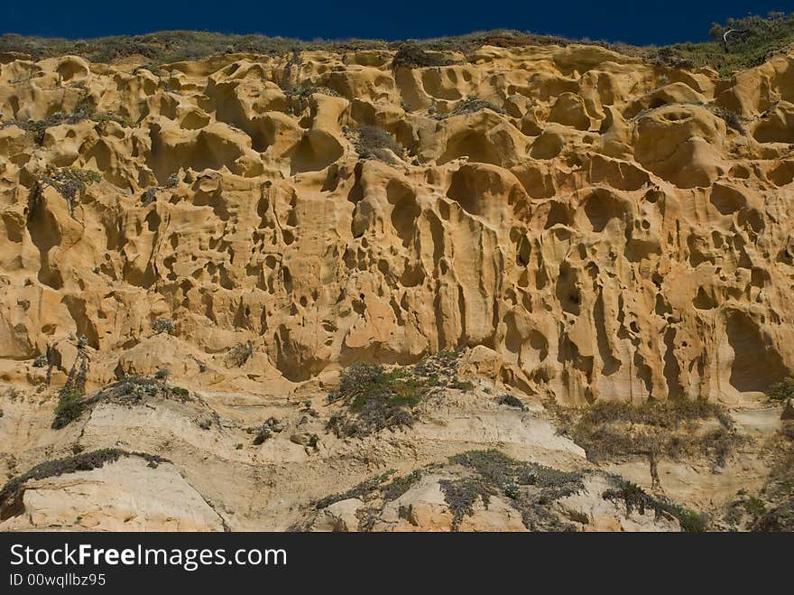 Sandstone Cliff face at Torry Pines California showing unique erosion pattern.