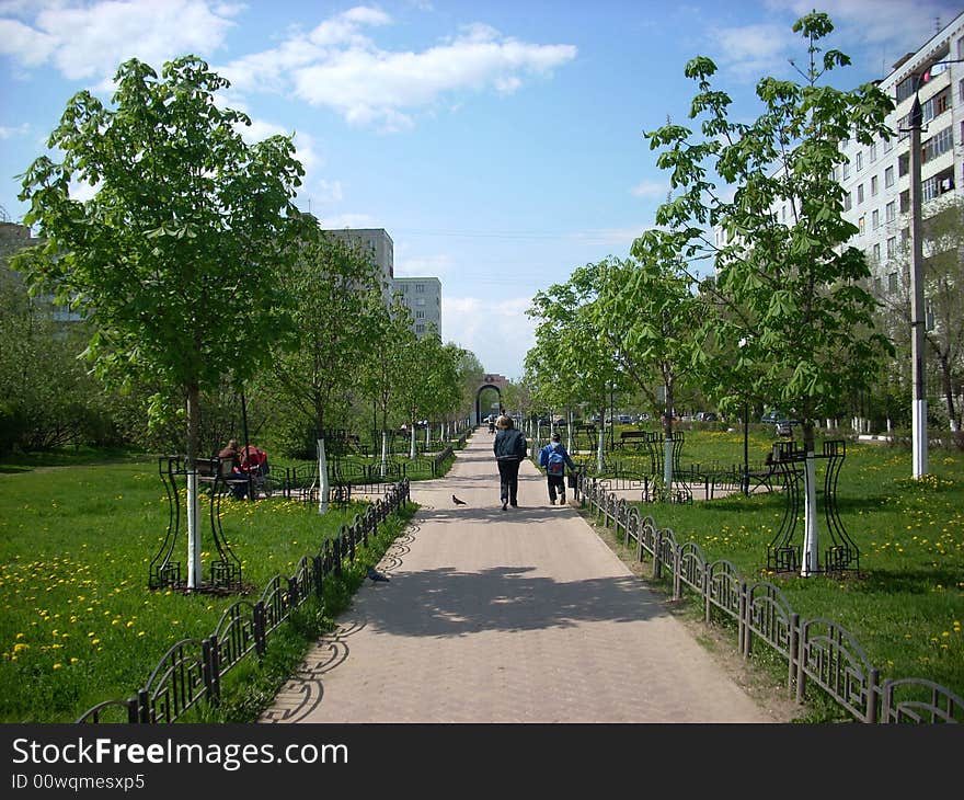 Chestnut avenue on which people walk. Chestnut avenue on which people walk