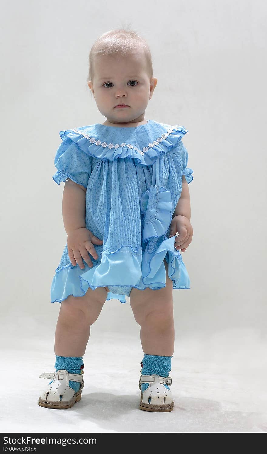 The little girl in a dark blue dress on a white background. The little girl in a dark blue dress on a white background