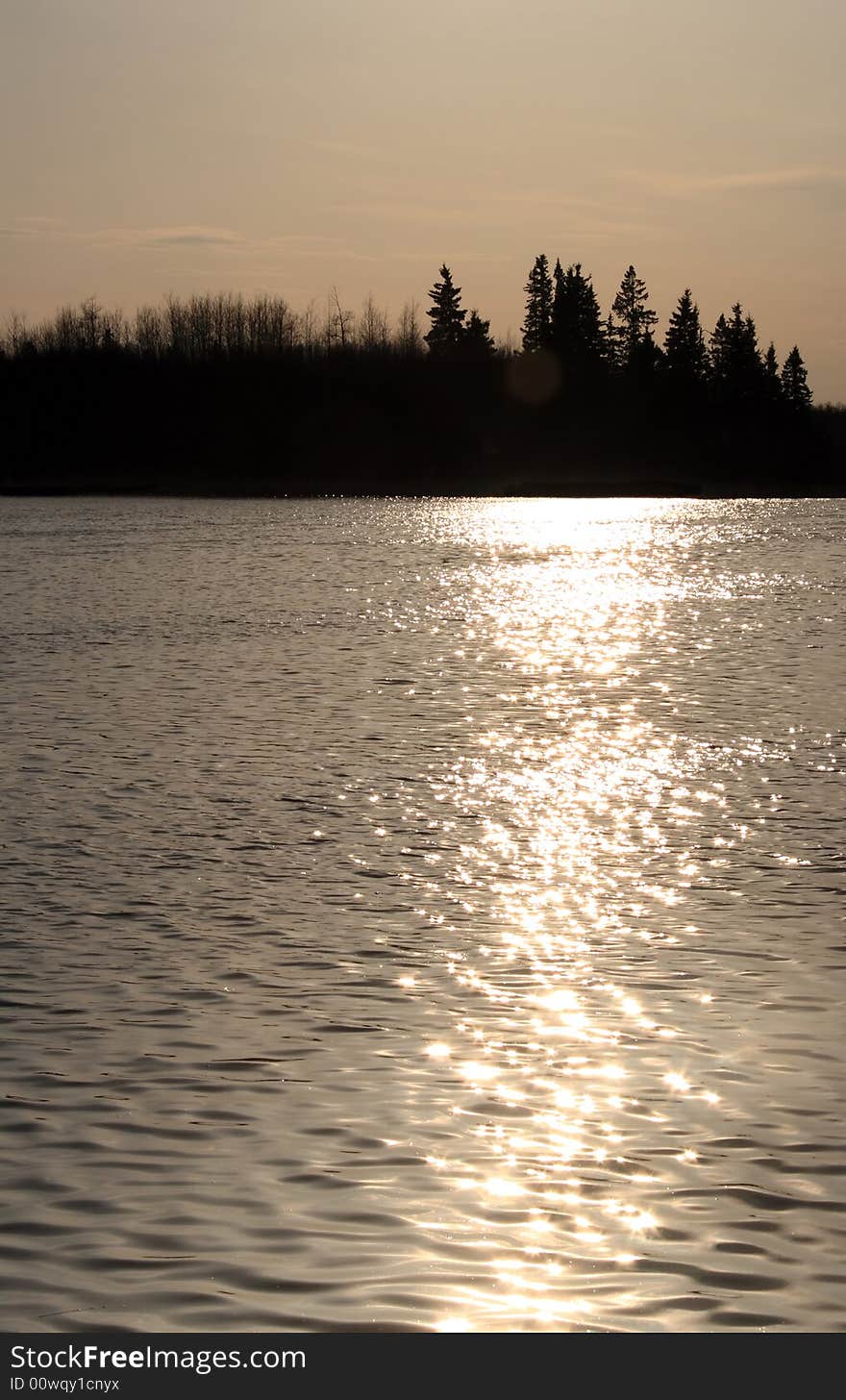 The evening sun shimmering on the water of a calm lake at sunset. The evening sun shimmering on the water of a calm lake at sunset