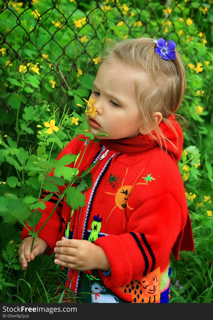 Little girl walks in the spring on a young grass