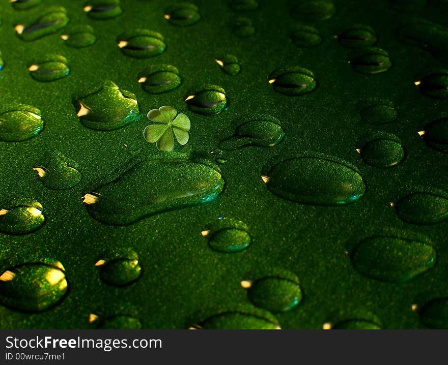 Small leaf of a Oxaliss on glass covered with drops