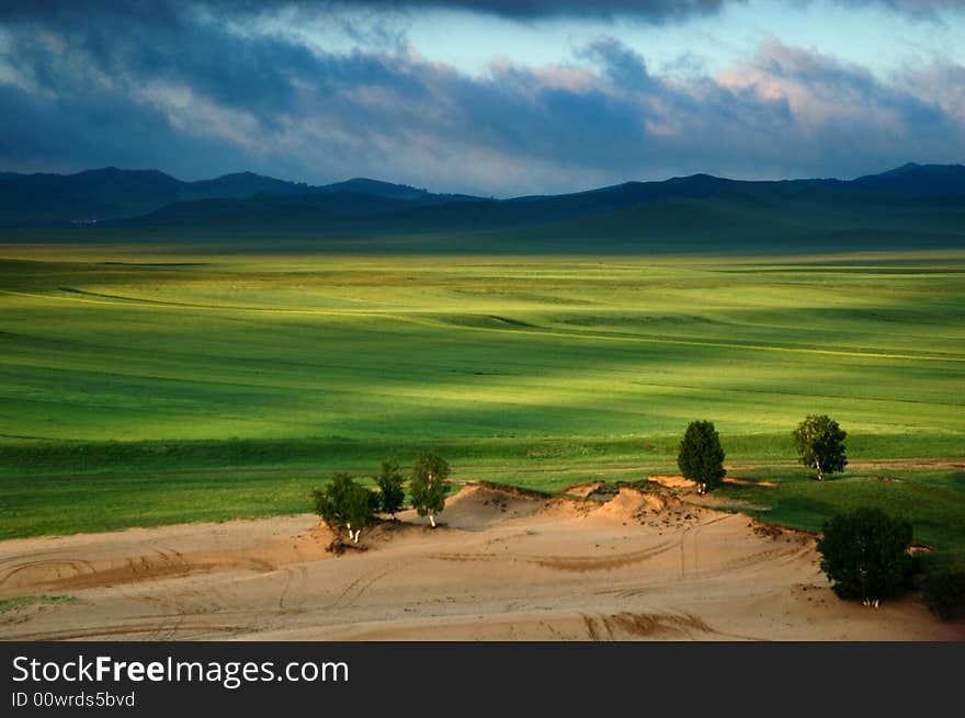 Green spring field in the morning. Green spring field in the morning.