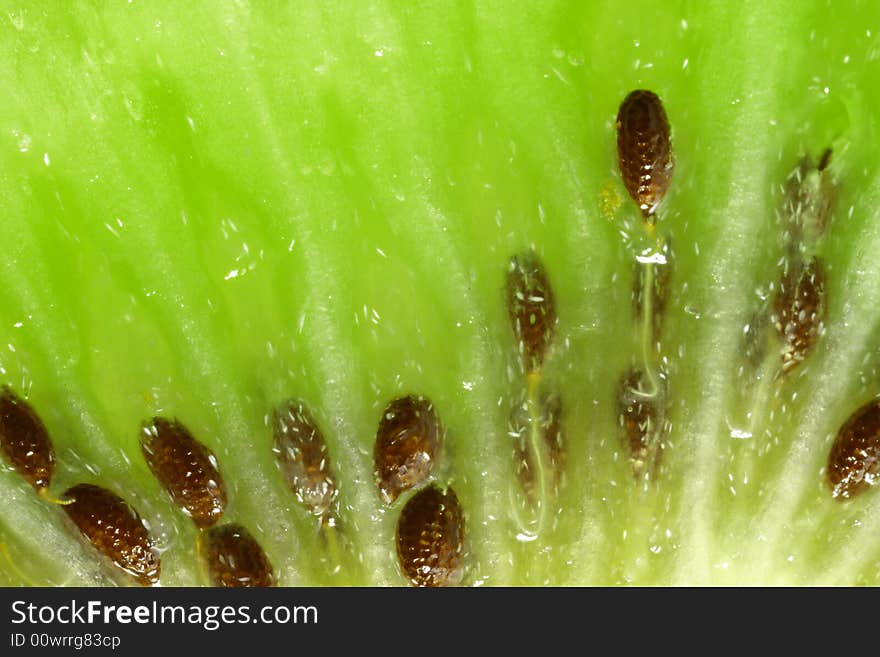 Amazing close-up of kiwi slice (5x)