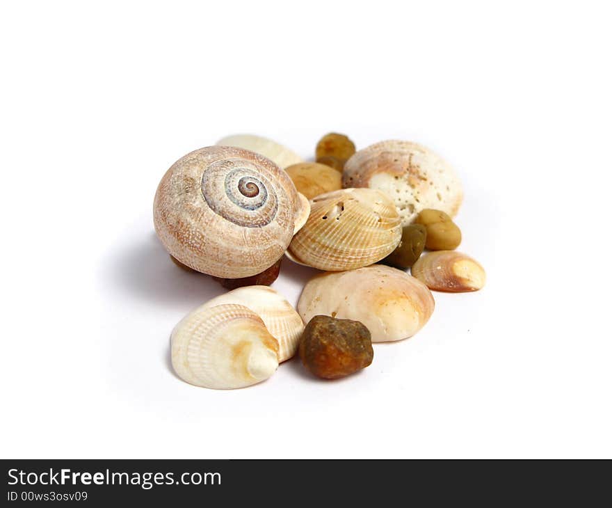 Stones and shells on a white background