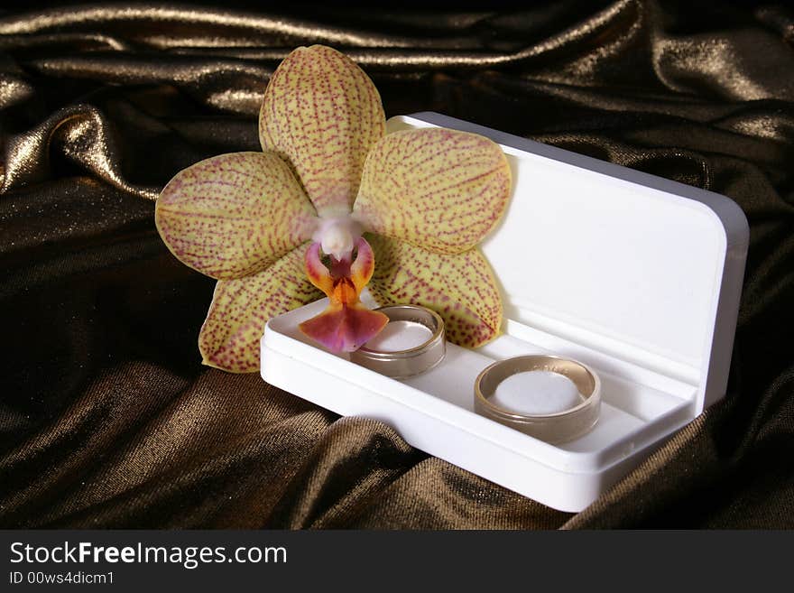 Wedding rings and orchid