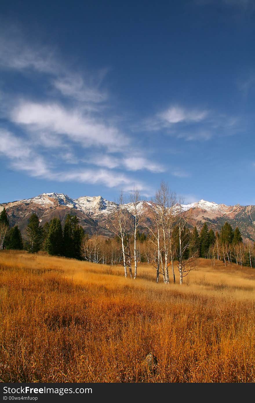 High Mountain Flat in the fall showing all the fall colors with mountains in the background. High Mountain Flat in the fall showing all the fall colors with mountains in the background