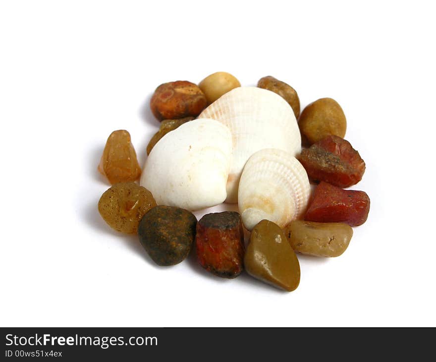 Stones and shells on a white background