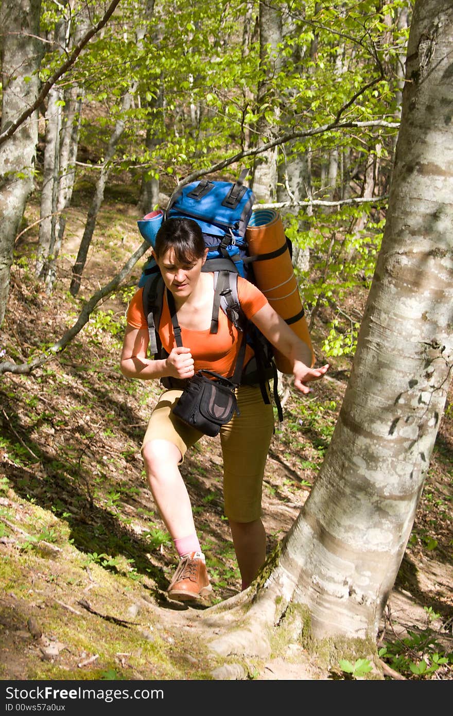 Hiker girl with backpack follow the path in spring forest. Hiker girl with backpack follow the path in spring forest