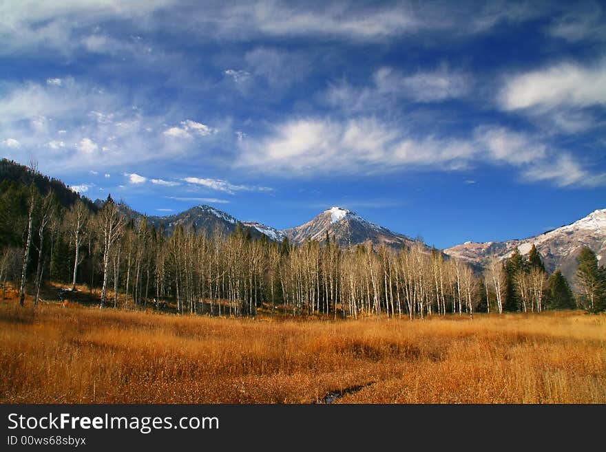 High Mountain Flat in the fall showing all the fall colors with mountains in the background