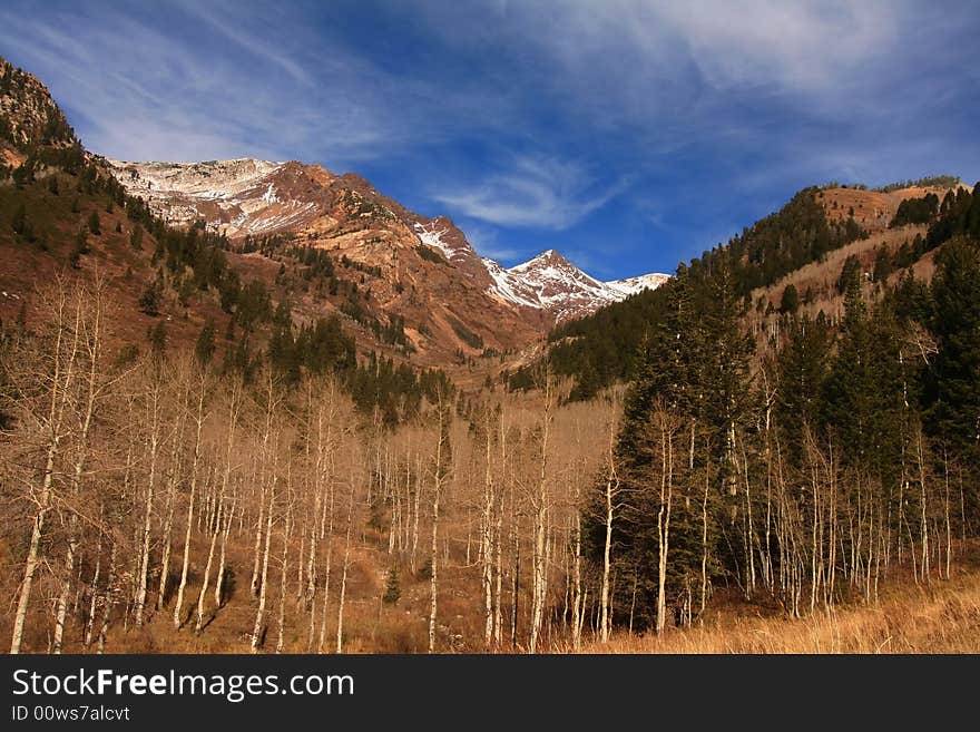 High Mountain Flat in the fall showing all the fall colors with mountains in the background. High Mountain Flat in the fall showing all the fall colors with mountains in the background