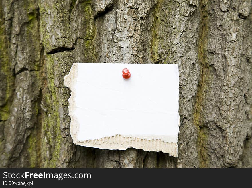 Cardboard Note On The Tree. Ready for your message.