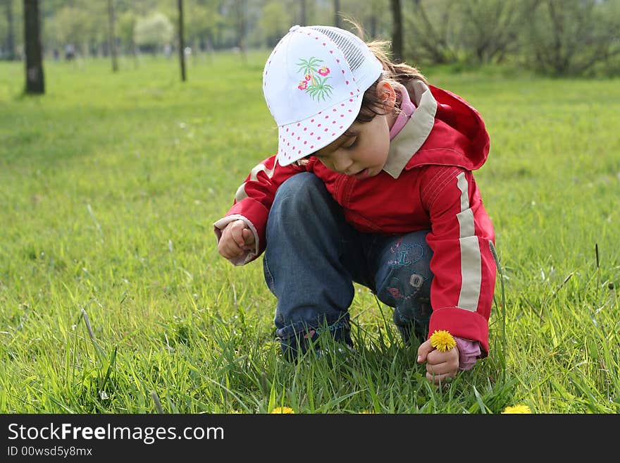 Little girl tear flower dandelion