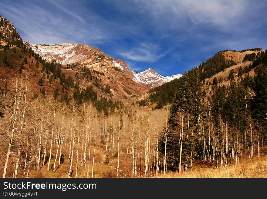 High Mountain Flat in the fall showing all the fall colors with mountains in the background