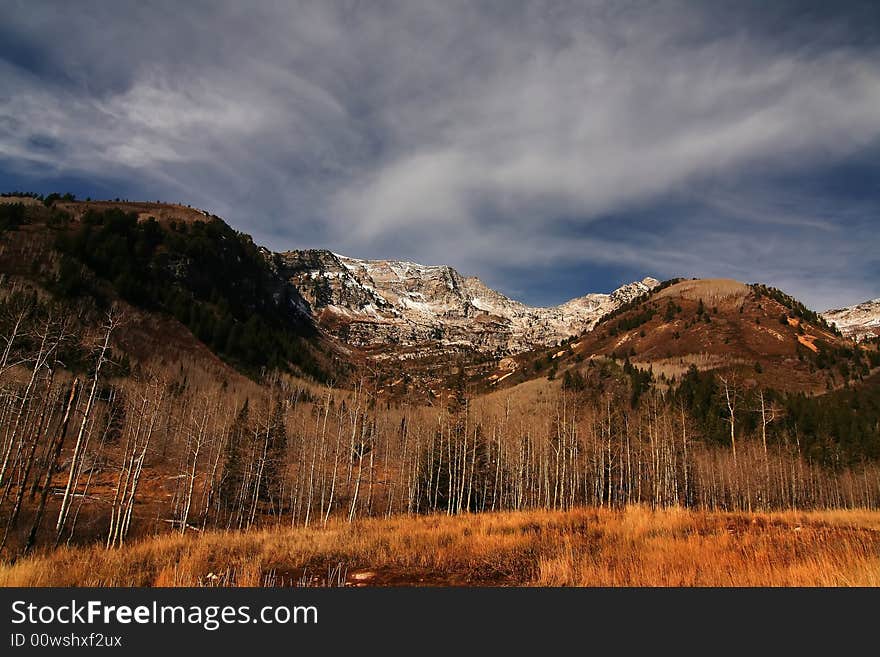 High Mountain Flat in the fall showing all the fall colors with mountains in the background. High Mountain Flat in the fall showing all the fall colors with mountains in the background