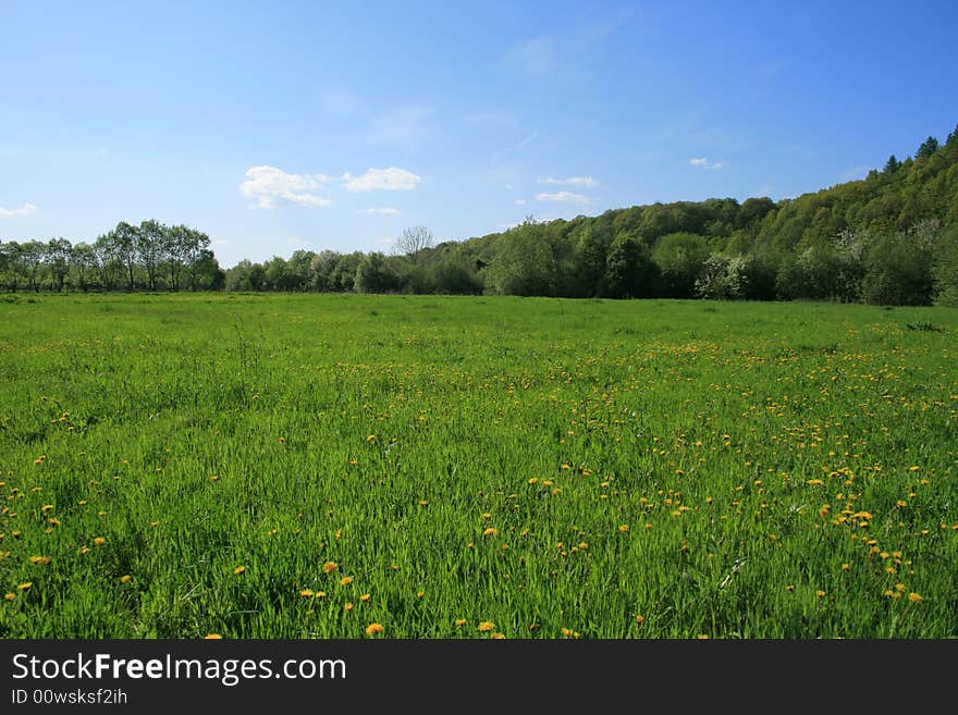 Spring fields near Carpathian mountains, Ukraine. Spring fields near Carpathian mountains, Ukraine