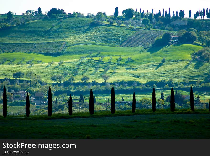 Rural countryside landscape in Tuscany region of Italy. Rural countryside landscape in Tuscany region of Italy.